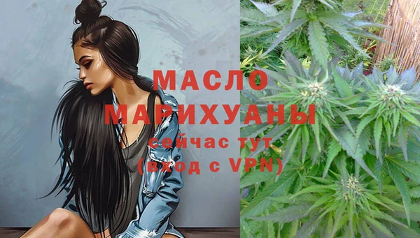дмт Ладушкин