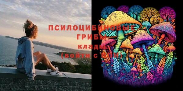 дмт Ладушкин