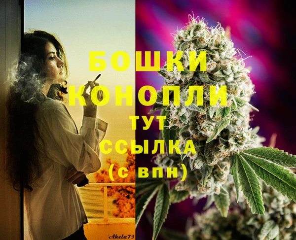 дмт Ладушкин