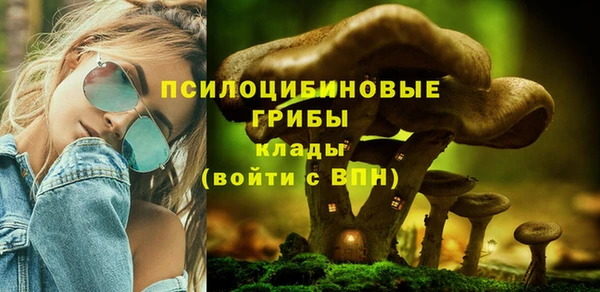 a pvp Майский