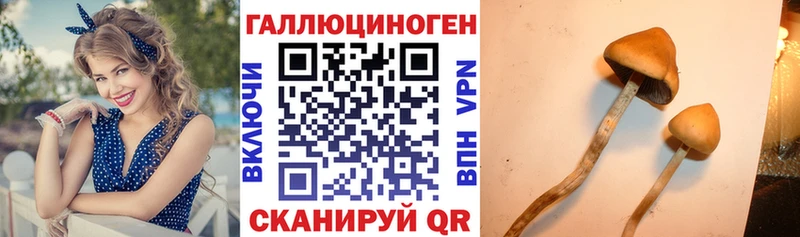 Галлюциногенные грибы мухоморы  Красноармейск 