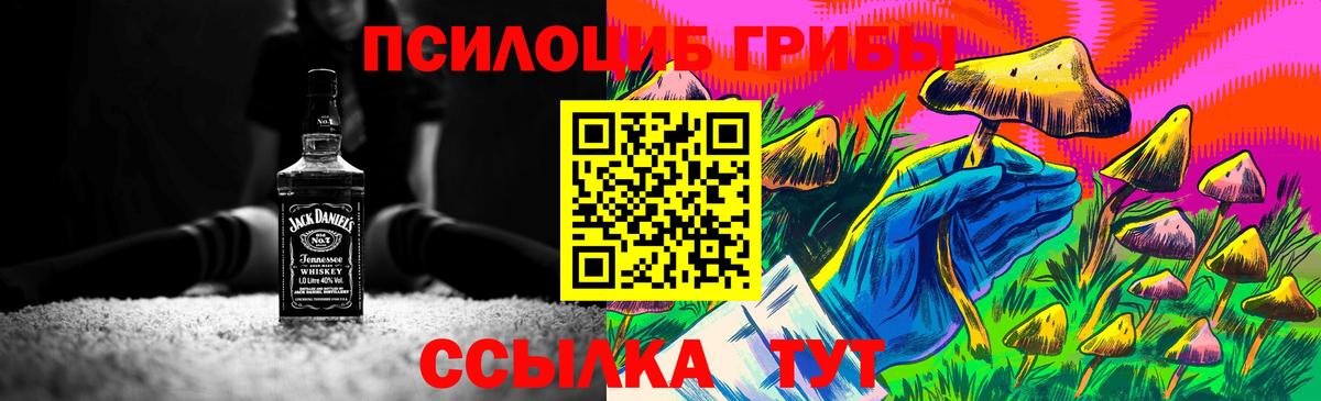Красноармейск  Псилоцибиновые грибы MAGIC MUSHROOMS  Вход с VPN 