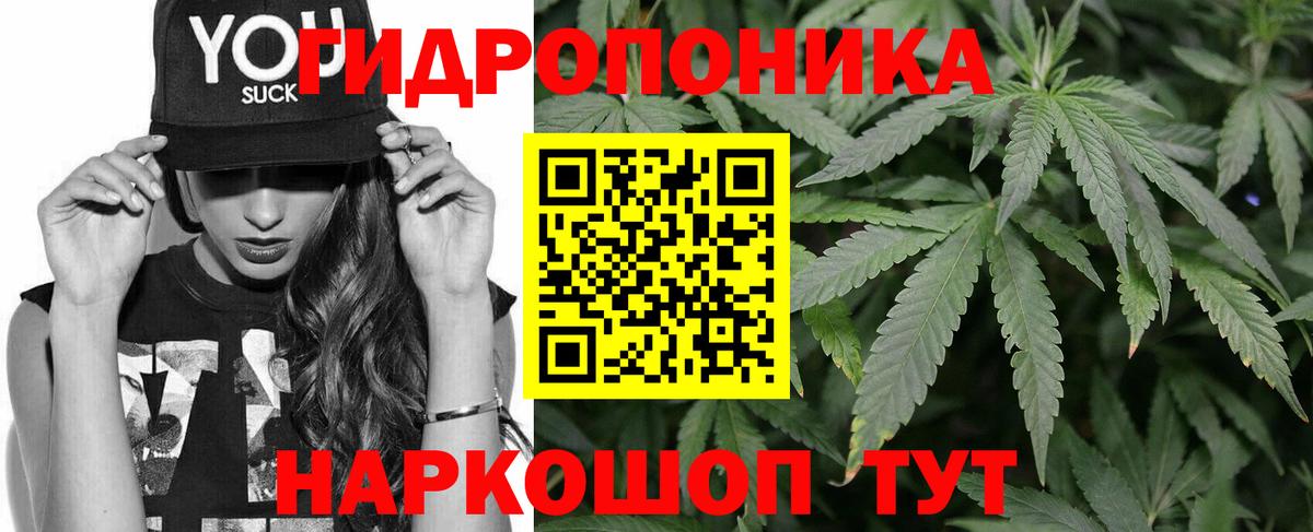 Каннабис ГИДРОПОН Красноармейск